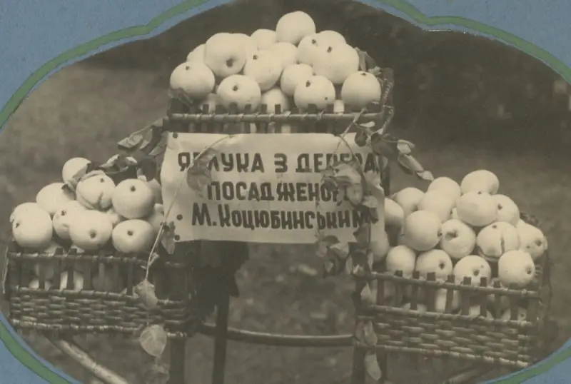 Як сад Коцюбинських став окрасою міської виставки квітів і плодів